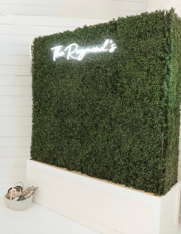 Boxwood Greenery Wall - Image 5