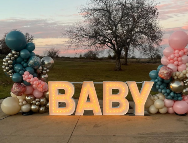 Balloon Garlands - Image 12